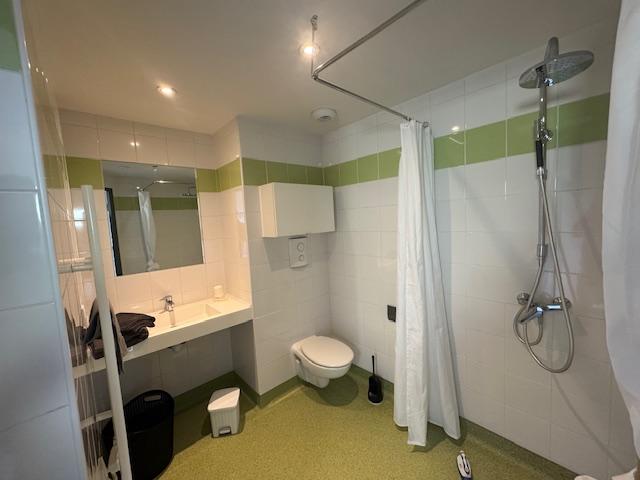 Artémisia - Auzeville-Tolosane - 208