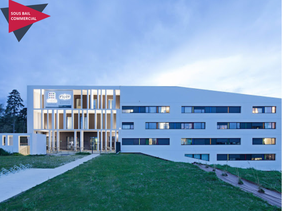 Artémisia - Auzeville-Tolosane - 208