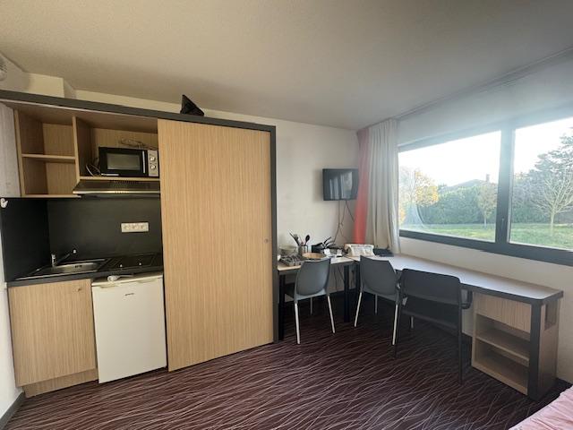 Artémisia - Auzeville-Tolosane - 208