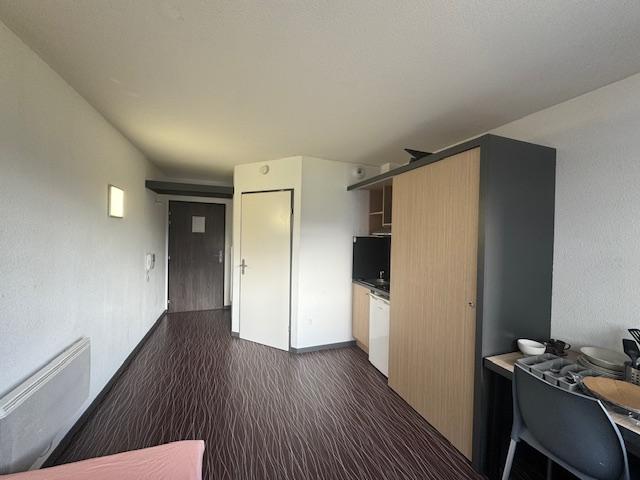 Artémisia - Auzeville-Tolosane - 208