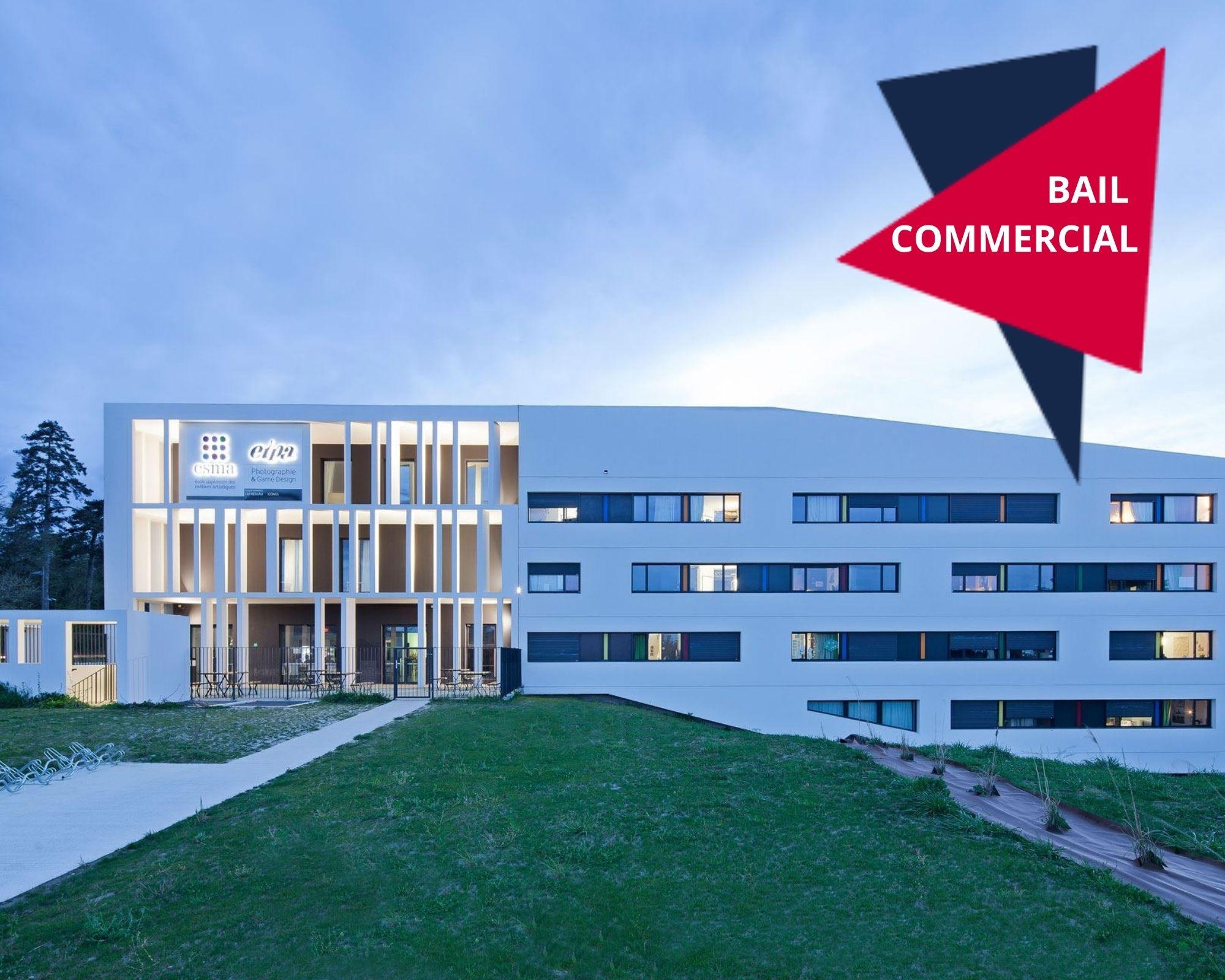 Artémisia -  Auzeville-Tolosane - Auzeville-Tolosane - 219