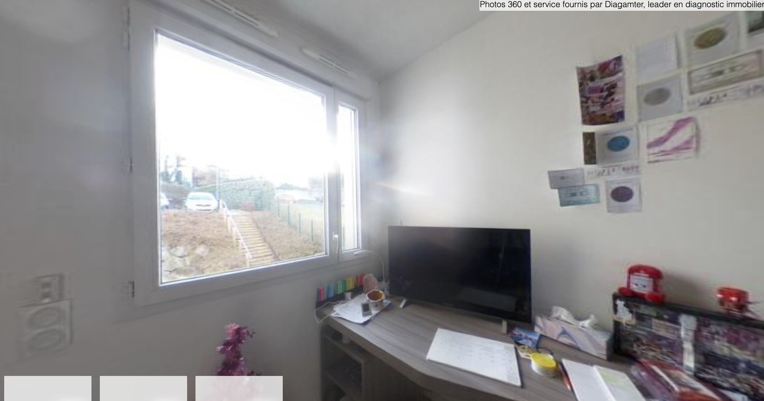 Artémisia  - Clermont Ferrand - Oradou - 12