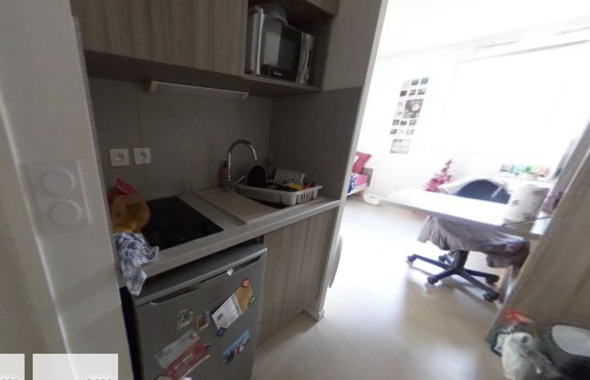 Artémisia  - Clermont Ferrand - Oradou - 12