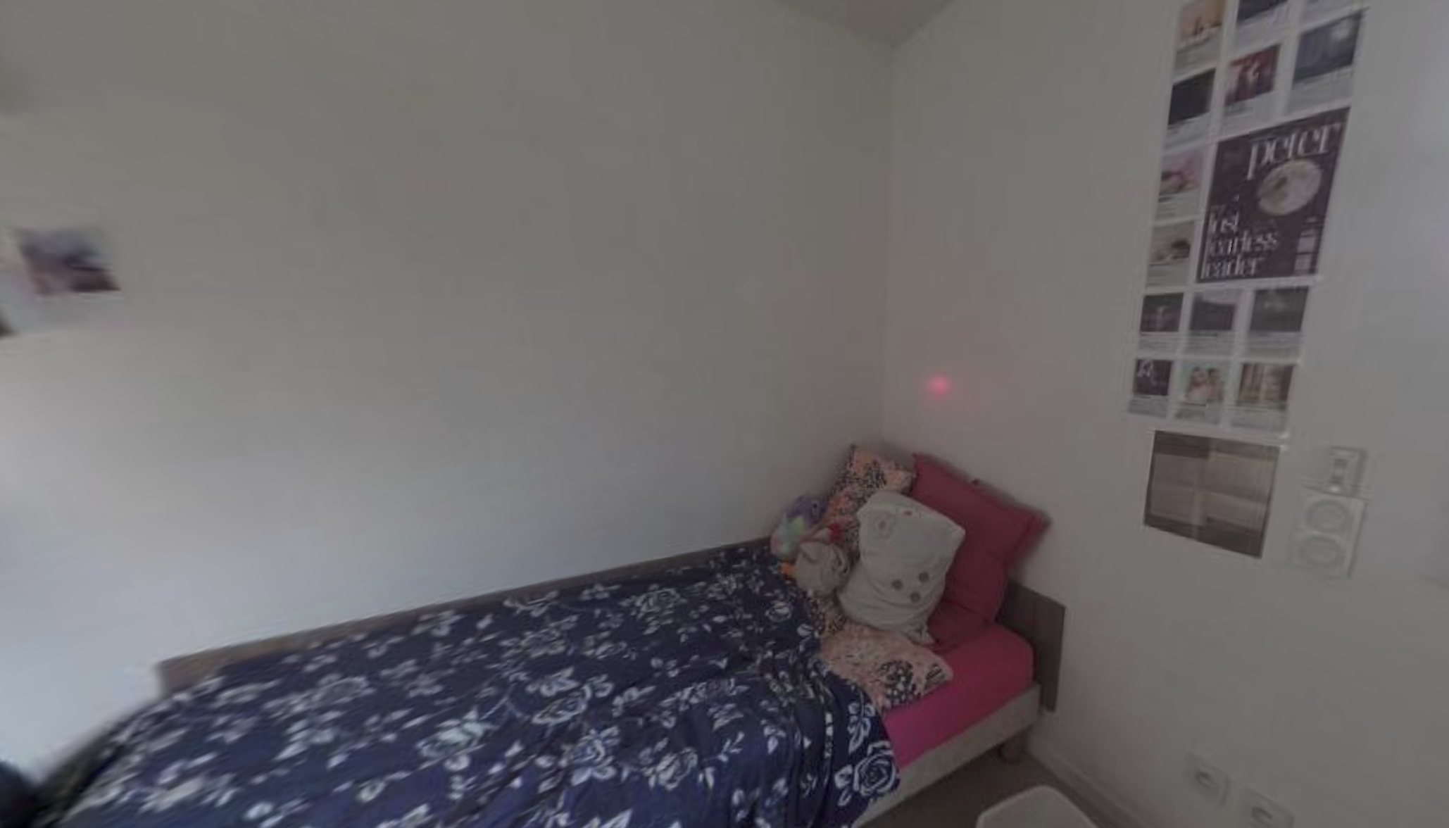 Artémisia  - Clermont Ferrand - Oradou - 12