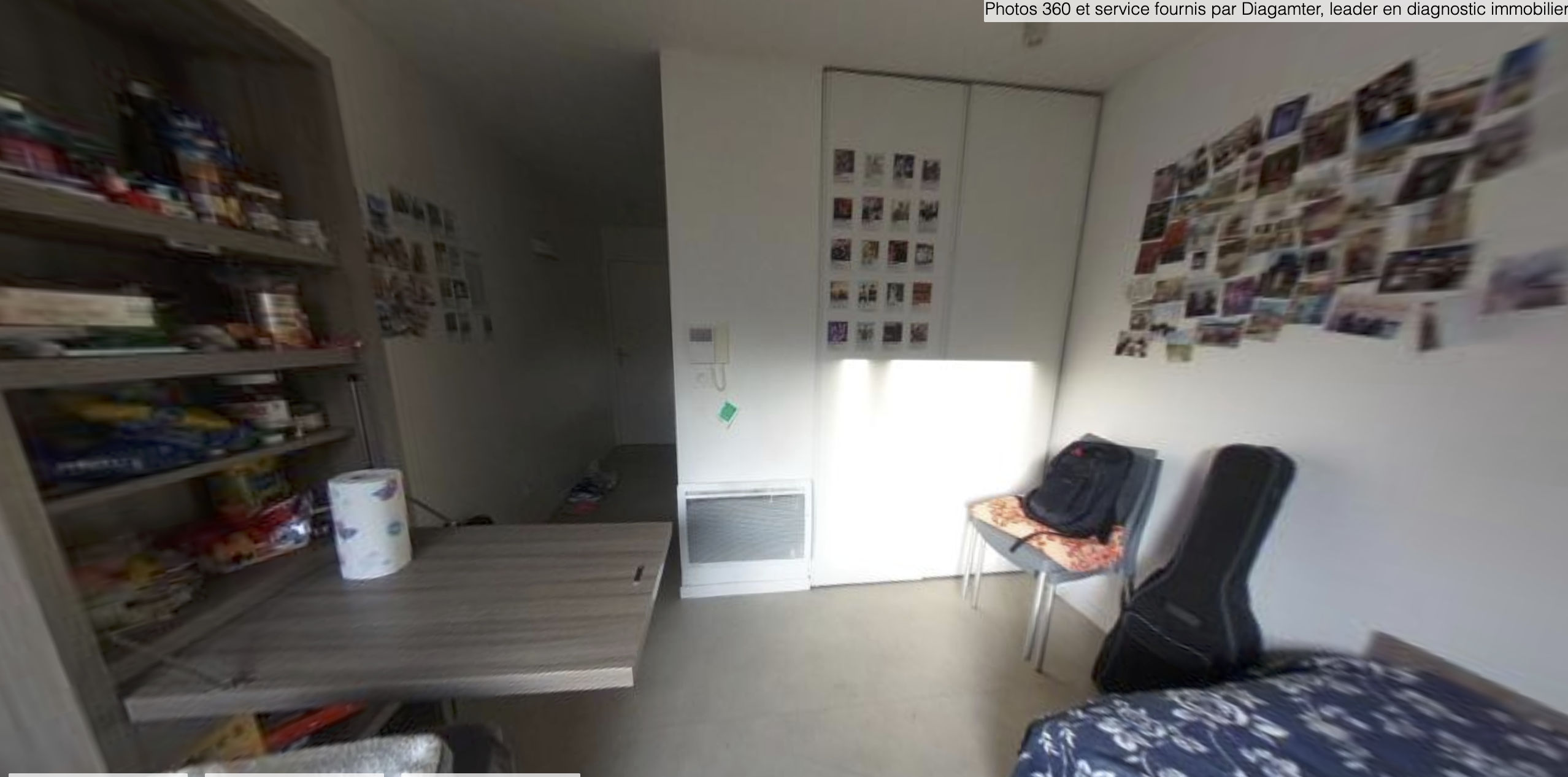 Artémisia  - Clermont Ferrand - Oradou - 12