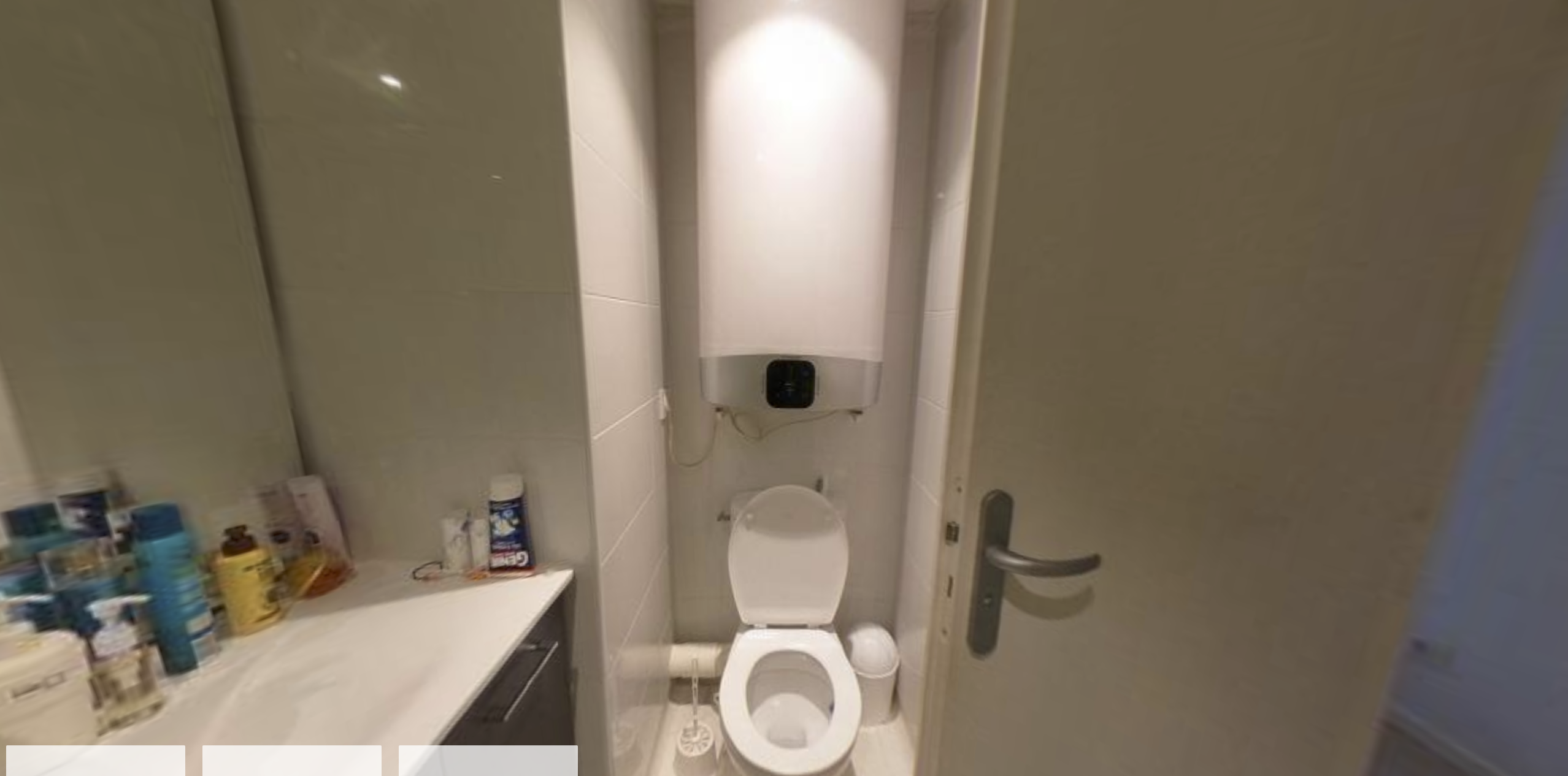 Artémisia  - Clermont Ferrand - Oradou - 12