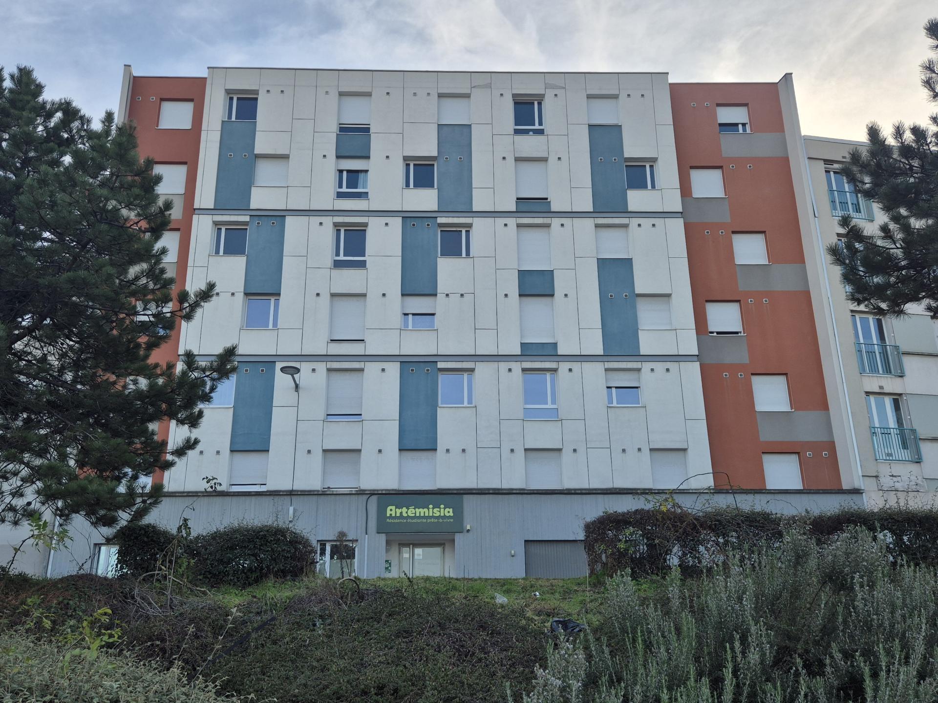 Artémisia  - Clermont Ferrand - Oradou - 12