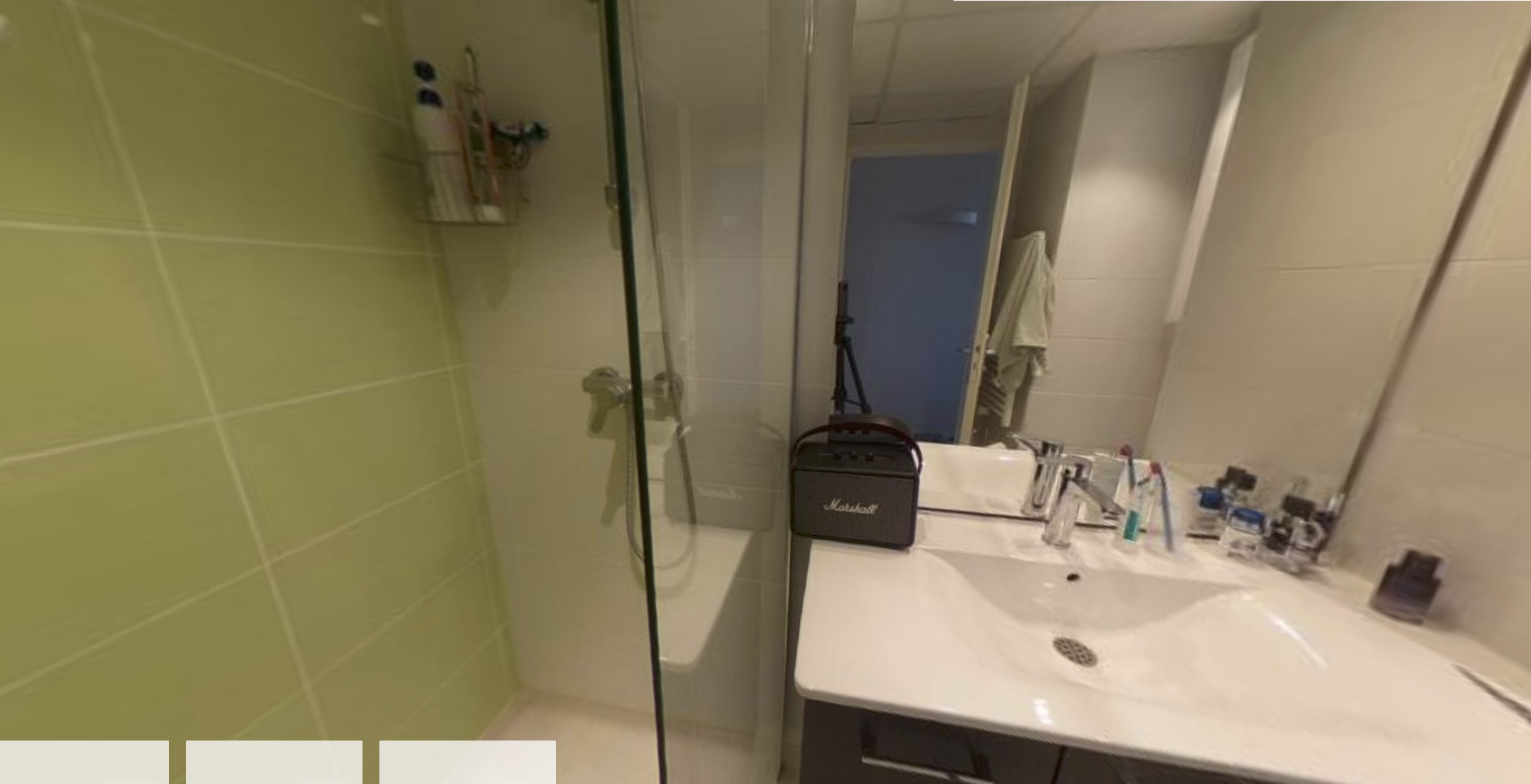 Artémisia  - Clermont Ferrand - Oradou - 60