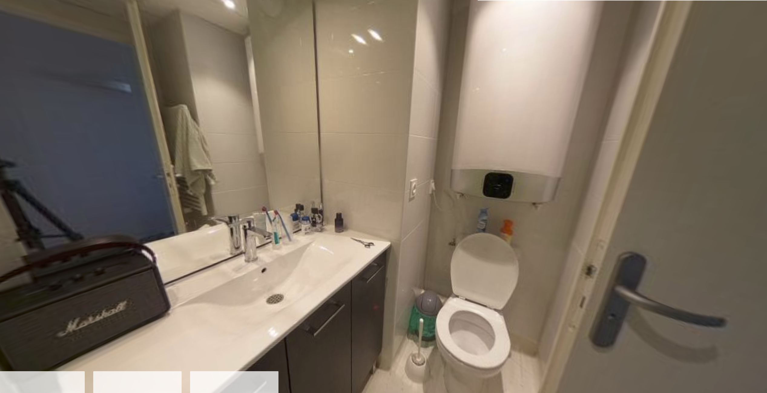 Artémisia  - Clermont Ferrand - Oradou - 60