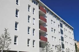 Artémisia_Saint-Eloi_Lot87
