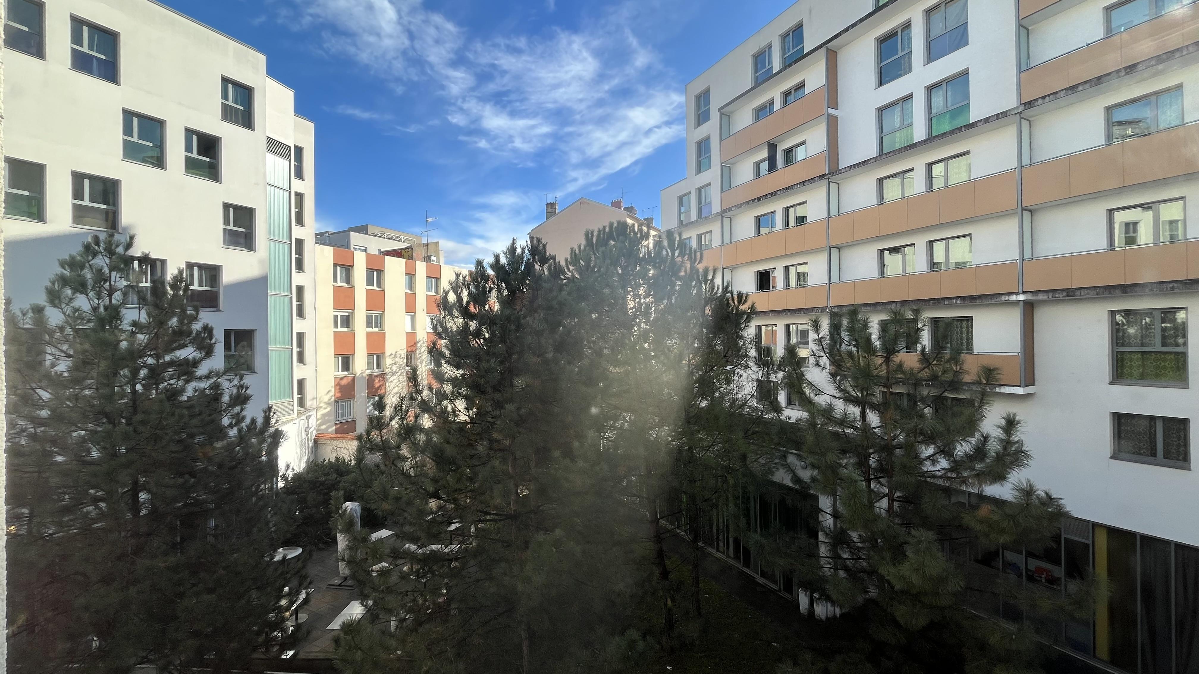 Gestetud - Lyon - Michel Ange - 161 - 351