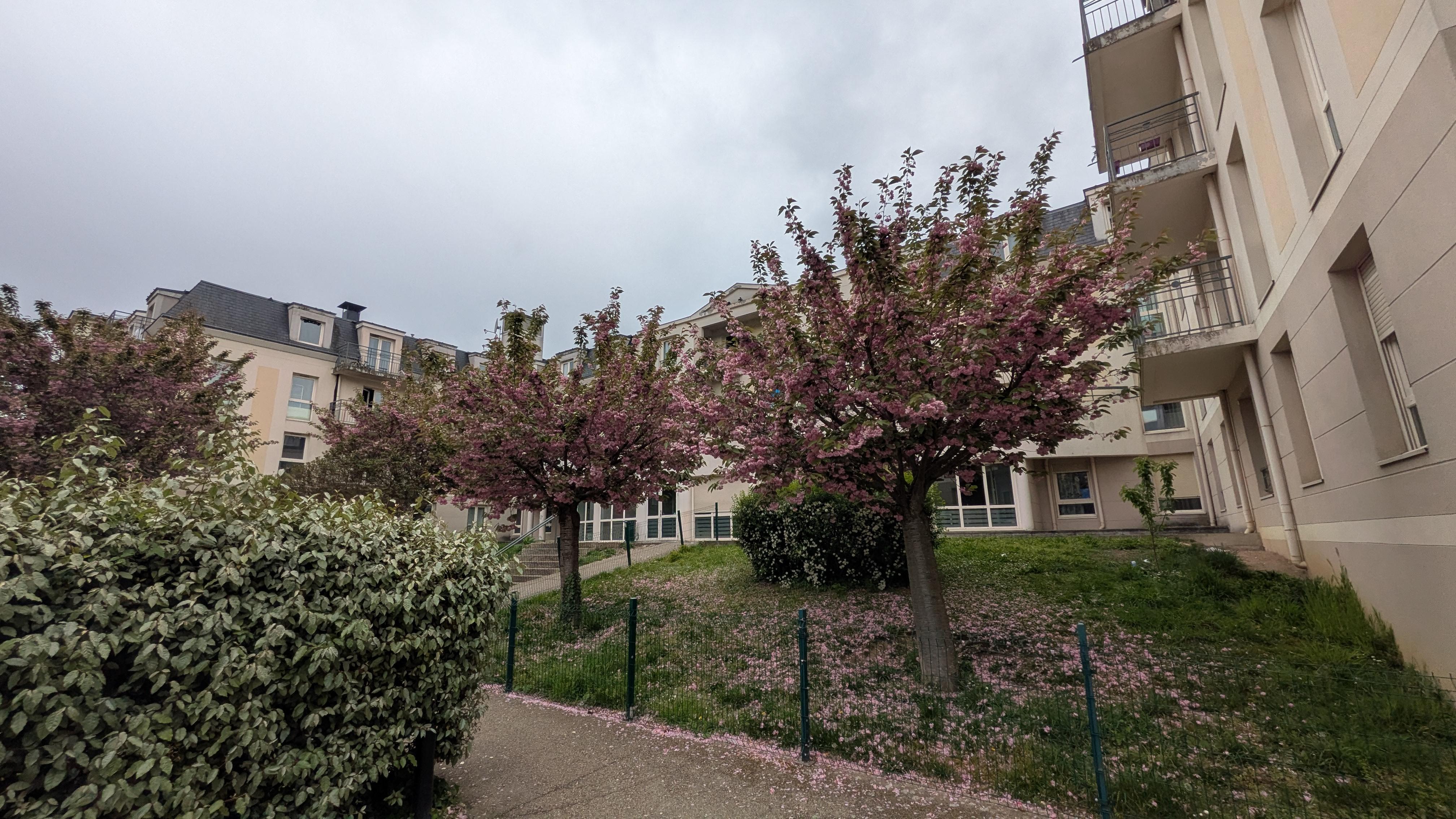 Logely / VSP - Poissy - Saint-Louis (Mandat VSP) - 153