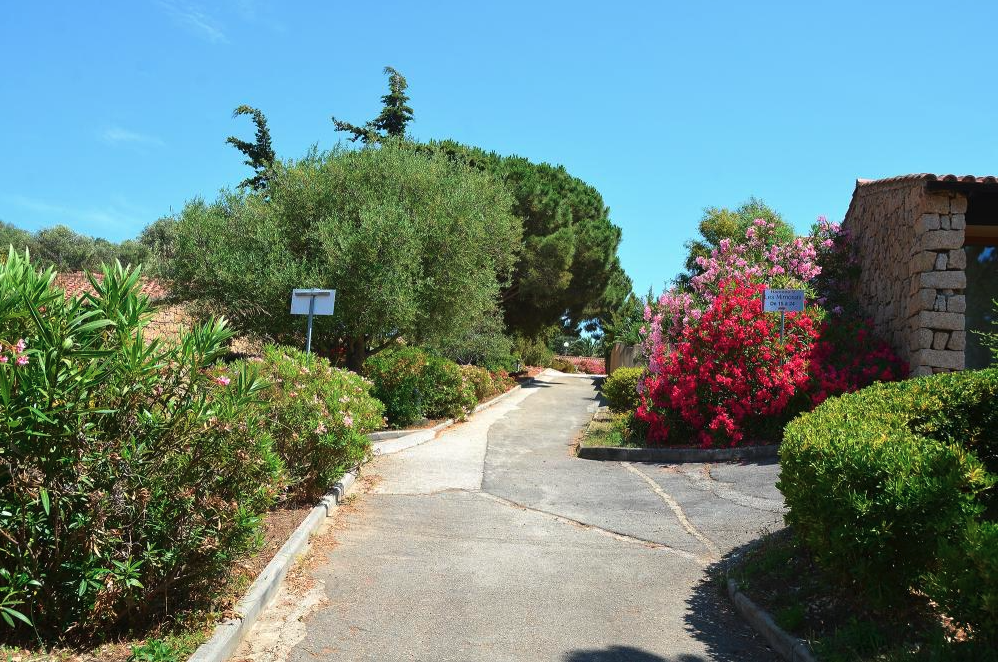 SARL SERAL - Serra di Ferro - Alba Rossa - 168