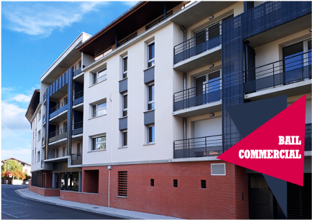 Stella Management - Albi - Les Rives du Tarn - 2,5