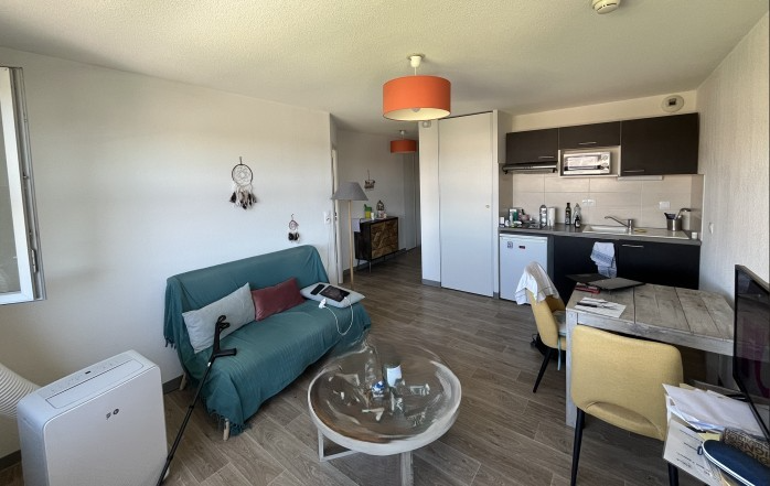 Stella Management - Albi - Les Rives du Tarn - 57