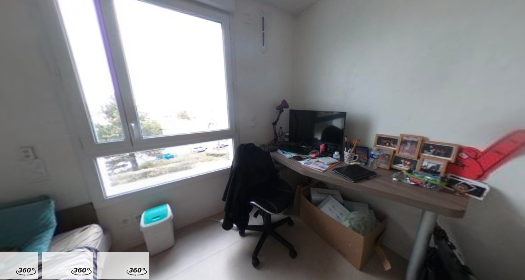 Artémisia - Clermont Ferrand - Oradou - 21