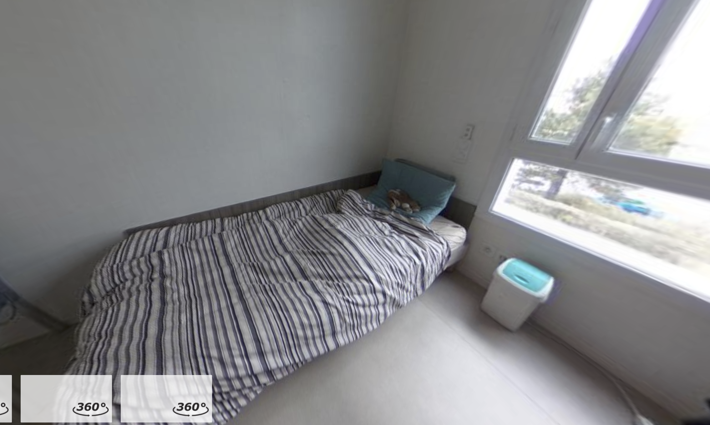 Artémisia - Clermont Ferrand - Oradou - 21