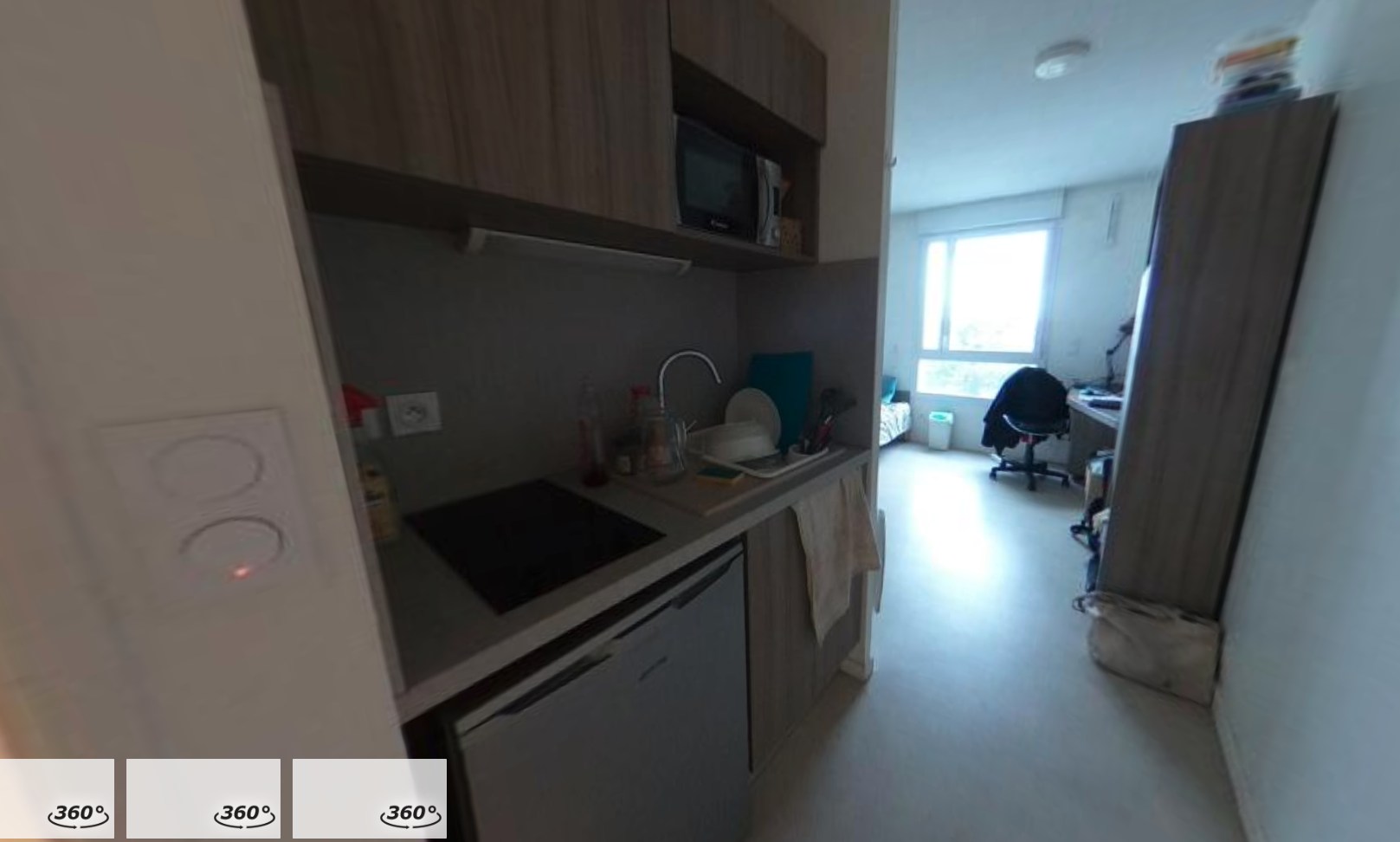 Artémisia - Clermont Ferrand - Oradou - 21