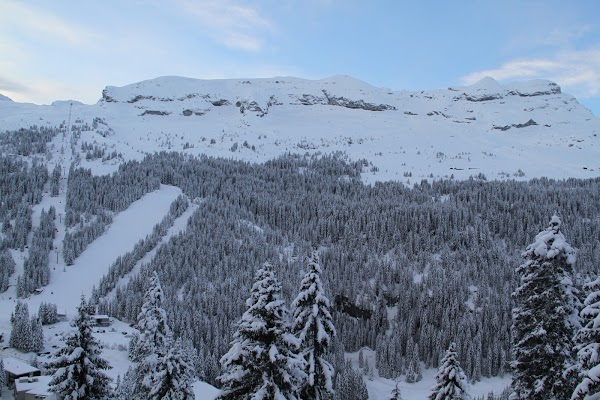 Résidence Les Pleïades - achatreventelmnp - photo 10