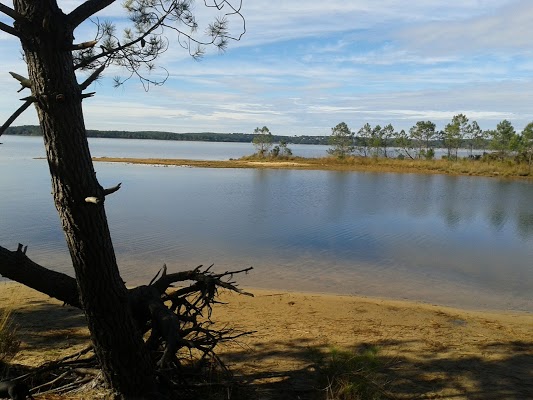 RésidenceLaMarinadeTalaris-achatreventelmnp-photo8