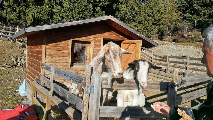 RésidenceDomainedel'Arselle-achatreventelmnp-photo5