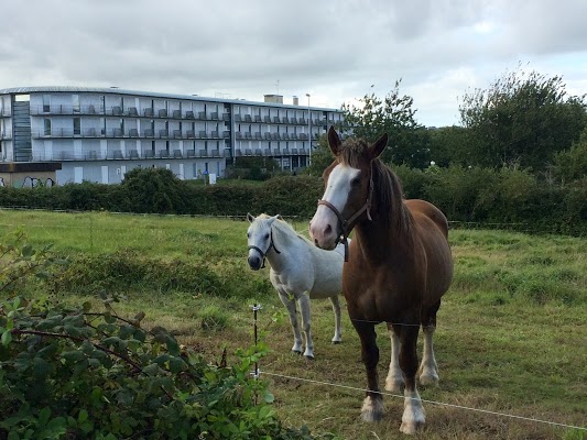 RésidenceDuTechnopole-achatreventelmnp-photo8