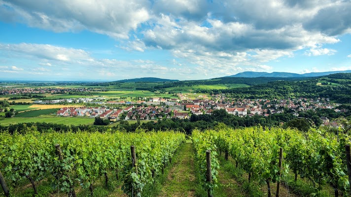 Résidence Les Portes d-Alsace - achatreventelmnp - photo 5