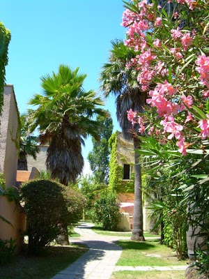 Résidence Le village de Marina d'Oru - achatreventelmnp - photo 10