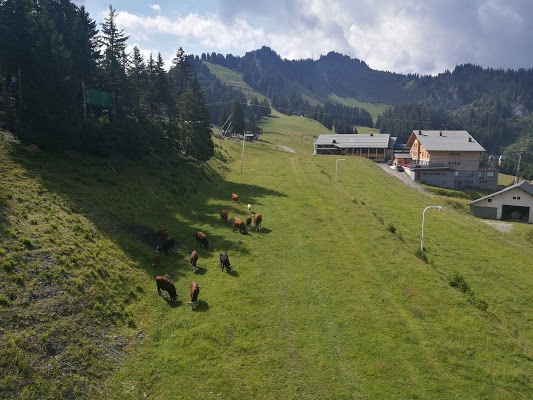 Résidence Les Portes du Soleil - achatreventelmnp - photo 4